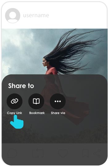 paste twitter video link